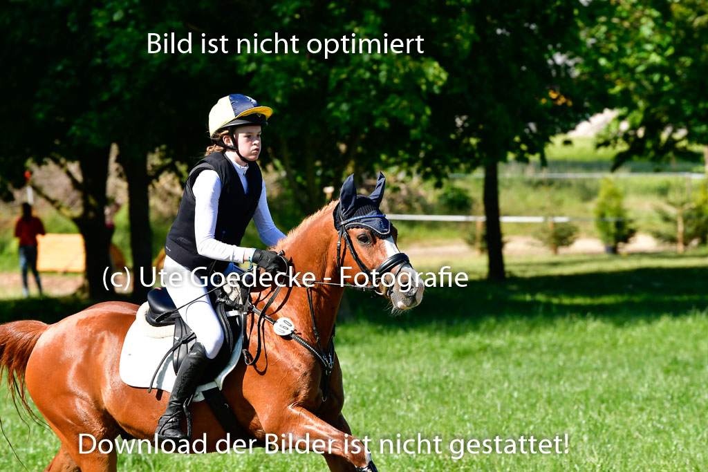 Goldene Schärpe Ponys in Hohen Luckow 1-4.6.23 | 04062023 Lucia Heidtmann - Little Foxy_12 