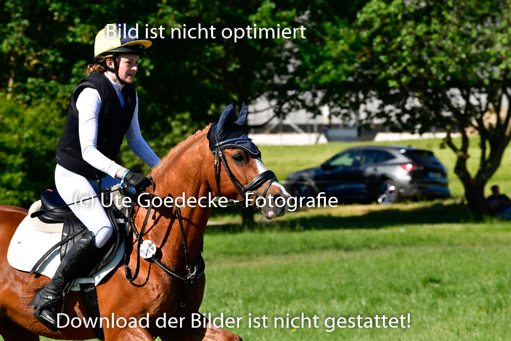 Goldene Schärpe Ponys in Hohen Luckow 1-4.6.23 | 04062023 Lucia Heidtmann - Little Foxy_13 