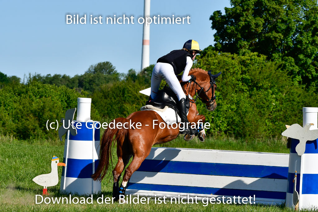 Goldene Schärpe Ponys in Hohen Luckow 1-4.6.23 | 04062023 Lucia Heidtmann - Little Foxy_14 