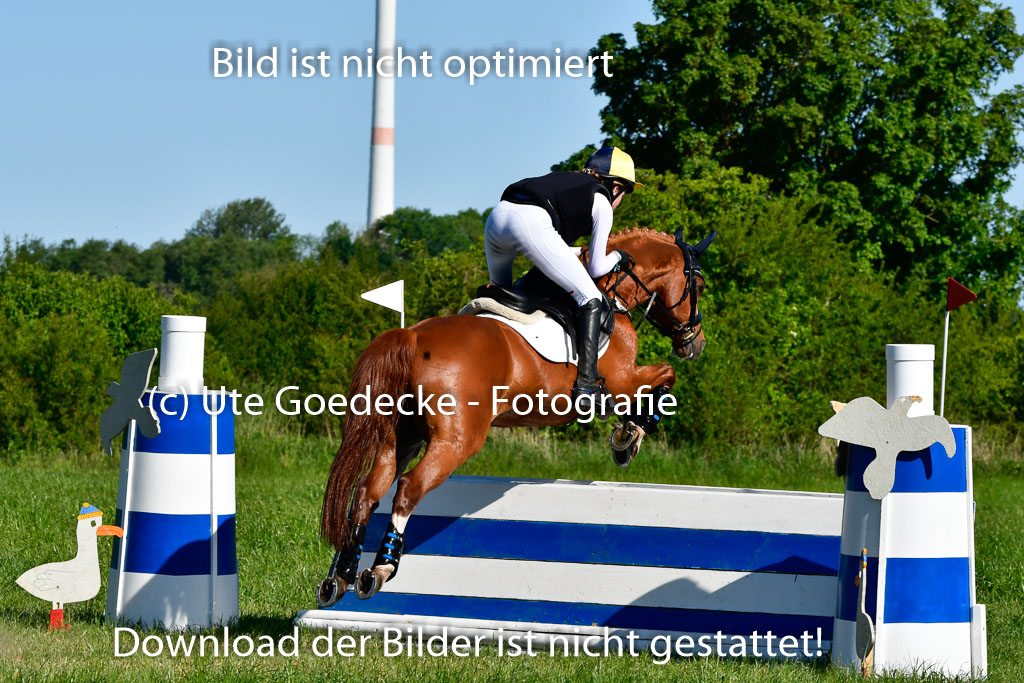 Goldene Schärpe Ponys in Hohen Luckow 1-4.6.23 | 04062023 Lucia Heidtmann - Little Foxy_15 