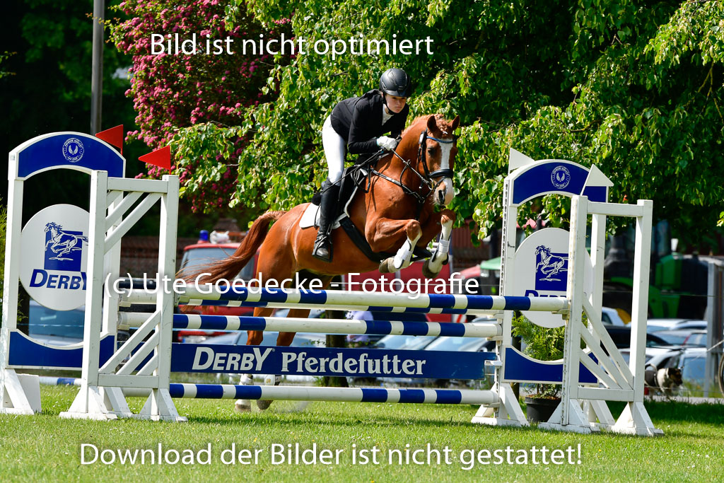 Goldene Schärpe Ponys in Hohen Luckow 1-4.6.23 | 04062023 Lucia Heidtmann - Little Foxy_19 