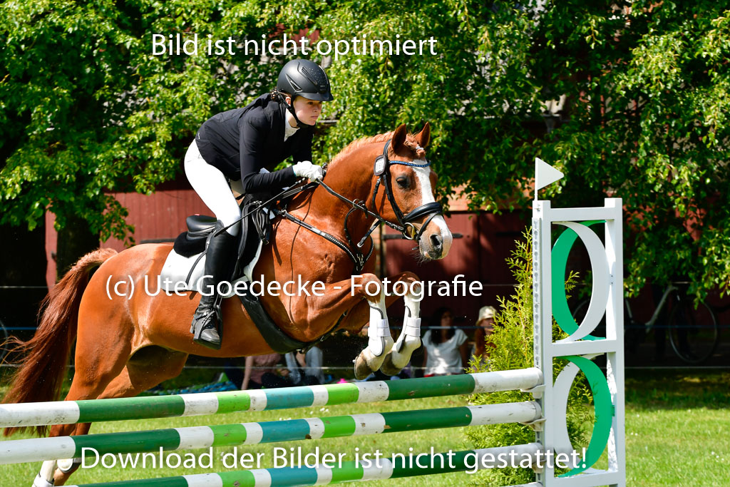 Goldene Schärpe Ponys in Hohen Luckow 1-4.6.23 | 04062023 Lucia Heidtmann - Little Foxy_21 