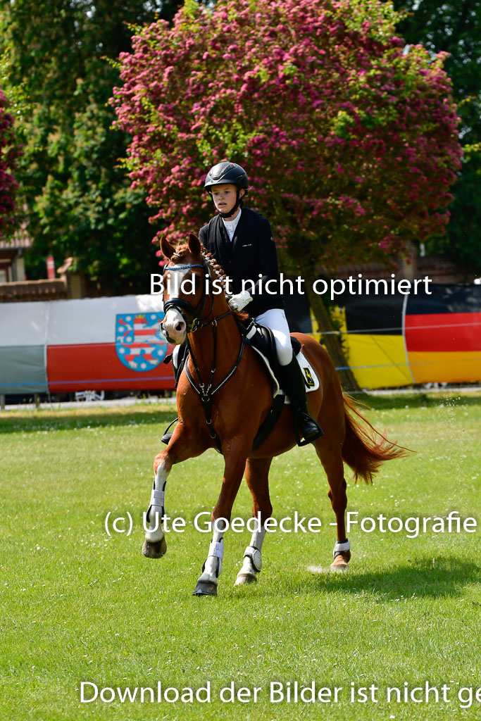 Goldene Schärpe Ponys in Hohen Luckow 1-4.6.23 | 04062023 Lucia Heidtmann - Little Foxy_25 