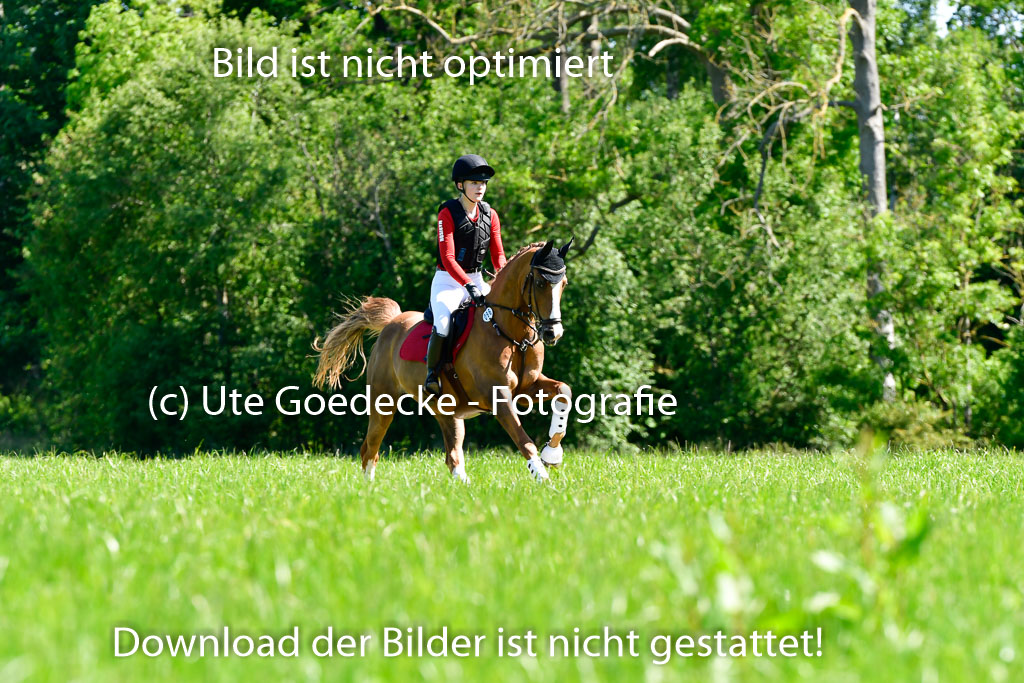 Goldene Schärpe Ponys in Hohen Luckow 1-4.6.23 | 04062023  Madison J Kirstein - Simba_06 