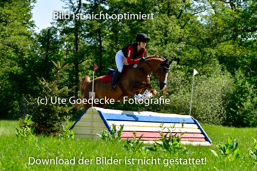 Goldene Schärpe Ponys in Hohen Luckow 1-4.6.23 | 04062023  Madison J Kirstein - Simba_07 