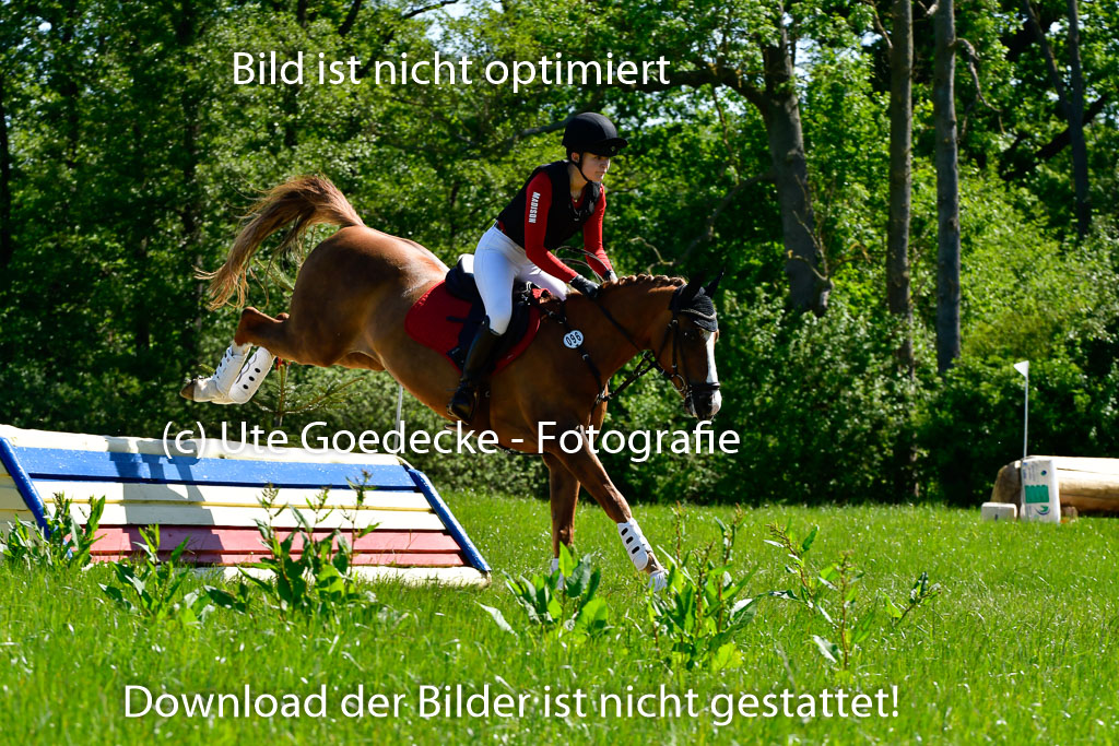 Goldene Schärpe Ponys in Hohen Luckow 1-4.6.23 | 04062023  Madison J Kirstein - Simba_09 