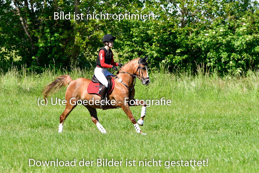 Goldene Schärpe Ponys in Hohen Luckow 1-4.6.23 | 04062023  Madison J Kirstein - Simba_11 