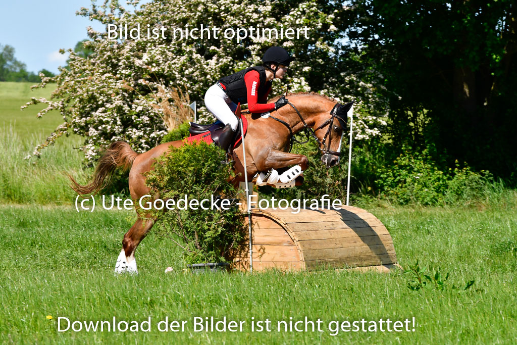 Goldene Schärpe Ponys in Hohen Luckow 1-4.6.23 | 04062023  Madison J Kirstein - Simba_12 