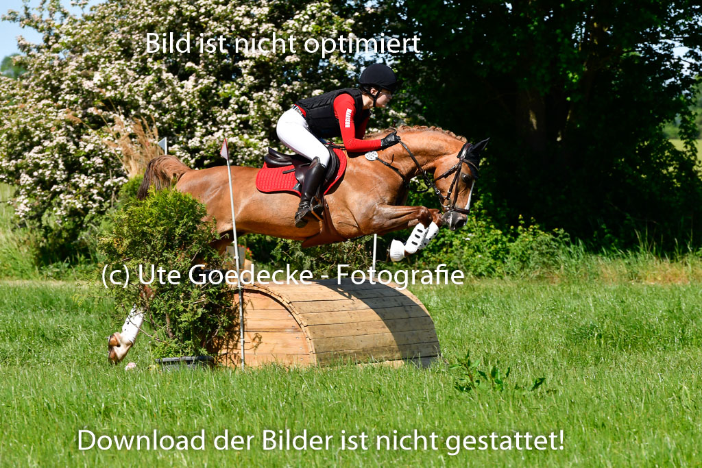 Goldene Schärpe Ponys in Hohen Luckow 1-4.6.23 | 04062023  Madison J Kirstein - Simba_13 