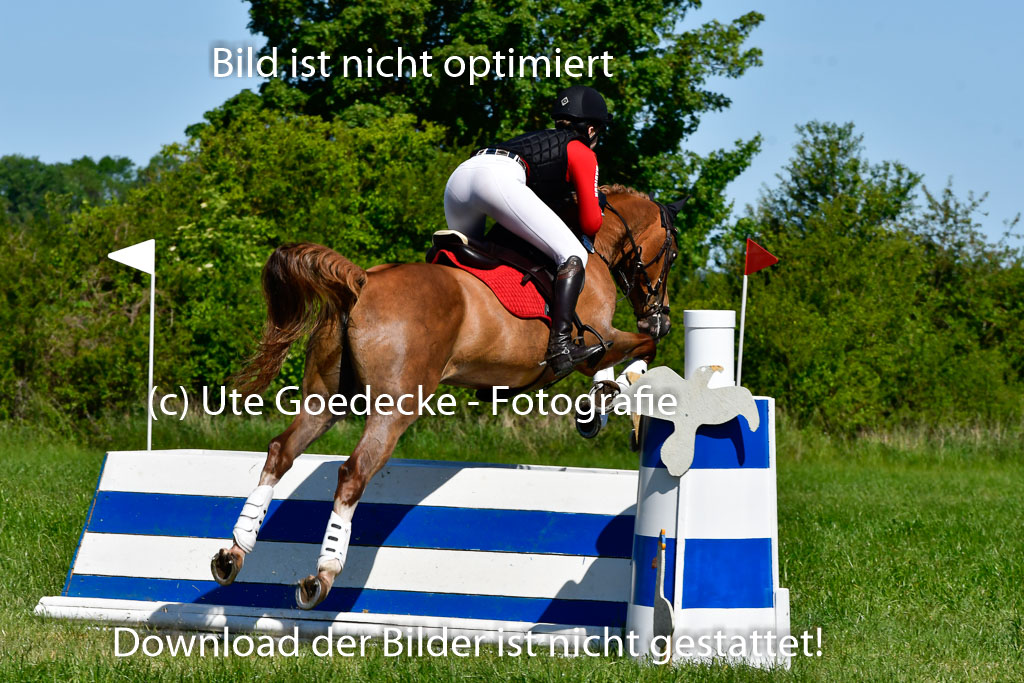 Goldene Schärpe Ponys in Hohen Luckow 1-4.6.23 | 04062023 Madison J Kirstein - Simba_18