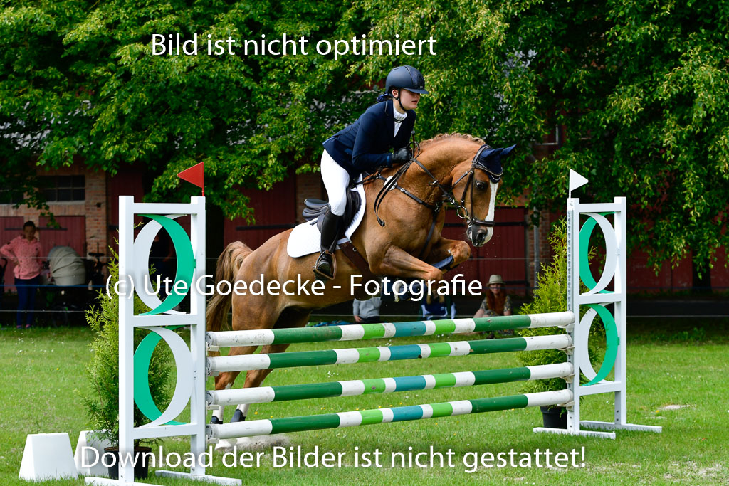 Goldene Schärpe Ponys in Hohen Luckow 1-4.6.23 | 04062023  Madison J Kirstein - Simba_20 