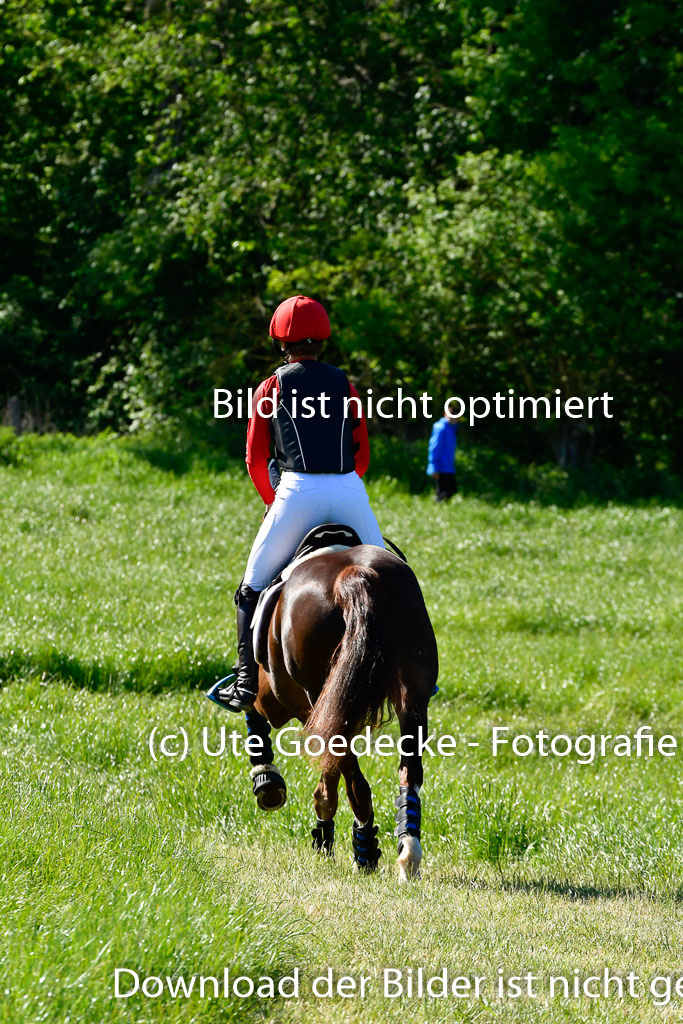 Goldene Schärpe Ponys in Hohen Luckow 1-4.6.23 | 04062023  Magdalena Schwaar - Princess C_03 