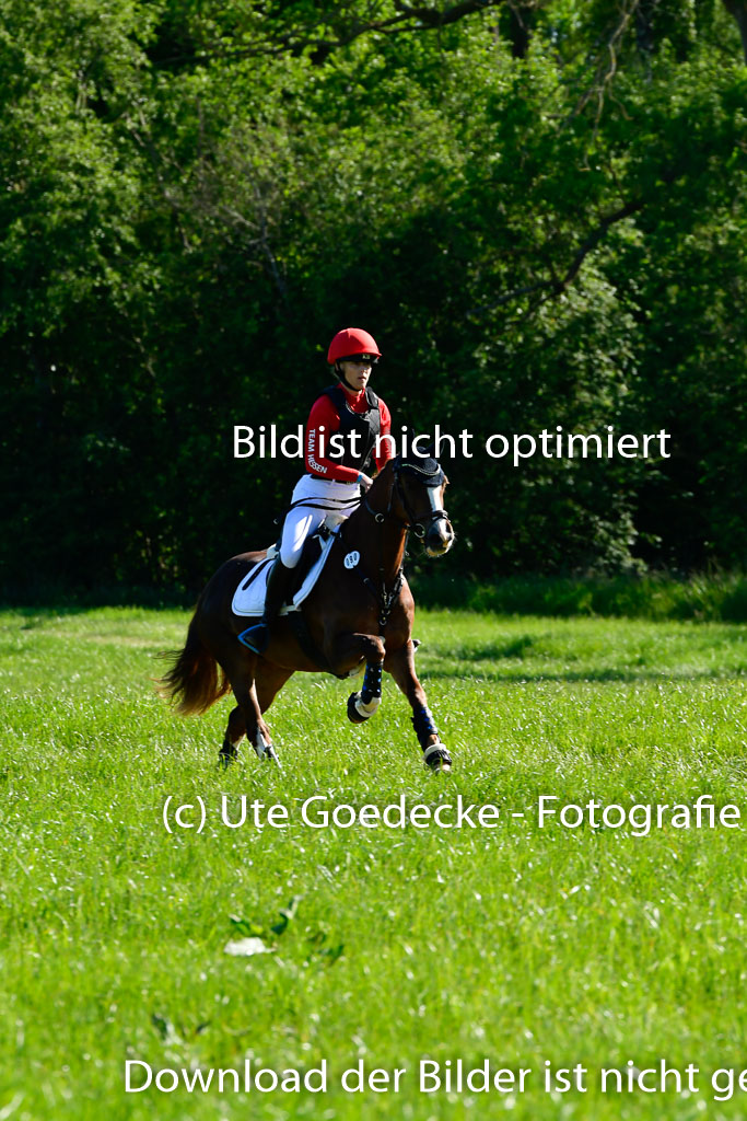 Goldene Schärpe Ponys in Hohen Luckow 1-4.6.23 | 04062023  Magdalena Schwaar - Princess C_04 