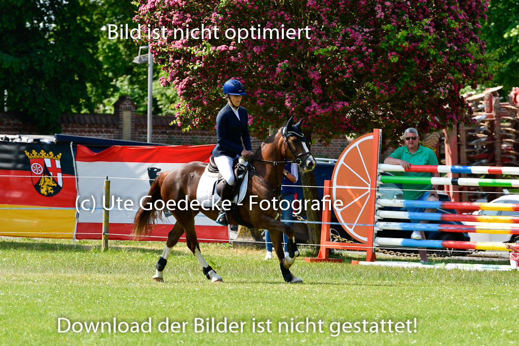 Goldene Schärpe Ponys in Hohen Luckow 1-4.6.23 | 04062023  Magdalena Schwaar - Princess C_13 