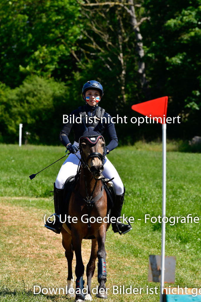 Goldene Schärpe Ponys in Hohen Luckow 1-4.6.23 | 04062023 Mara Hertmann - Beyonce at little Uncle 