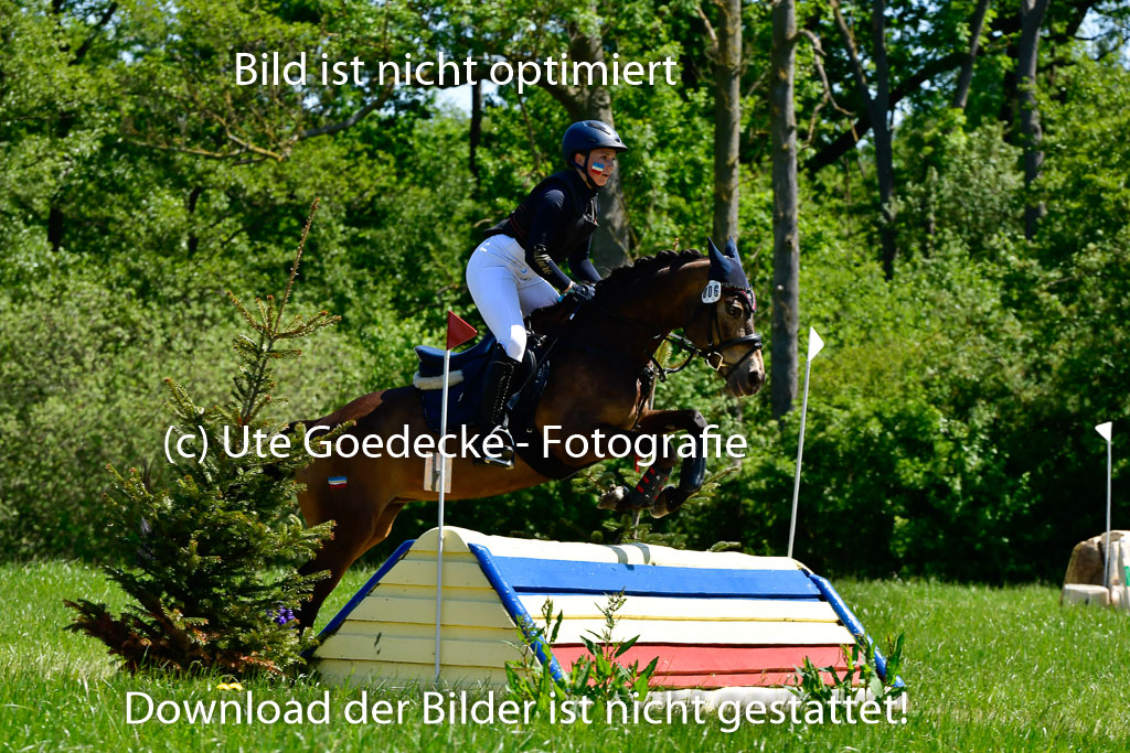 Goldene Schärpe Ponys in Hohen Luckow 1-4.6.23 | 04062023 Mara Hertmann - Beyonce at little Uncle_07 