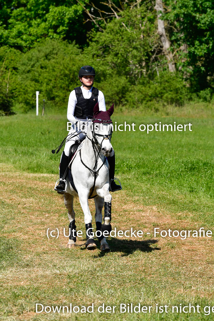 Goldene Schärpe Ponys in Hohen Luckow 1-4.6.23 | 04062023  Marlene Mühlenbeck - Sweert Snail 