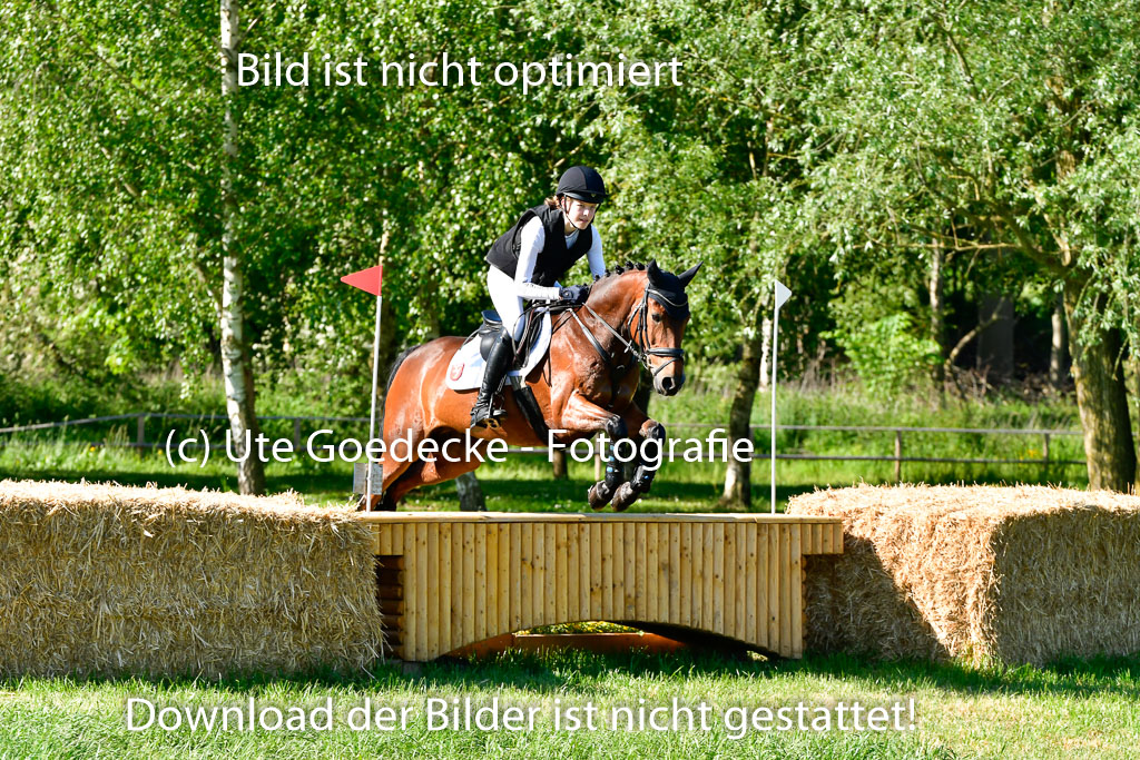 Goldene Schärpe Ponys in Hohen Luckow 1-4.6.23 | 04062023 Mathgilda van Dillen - Lichtenstein_11 