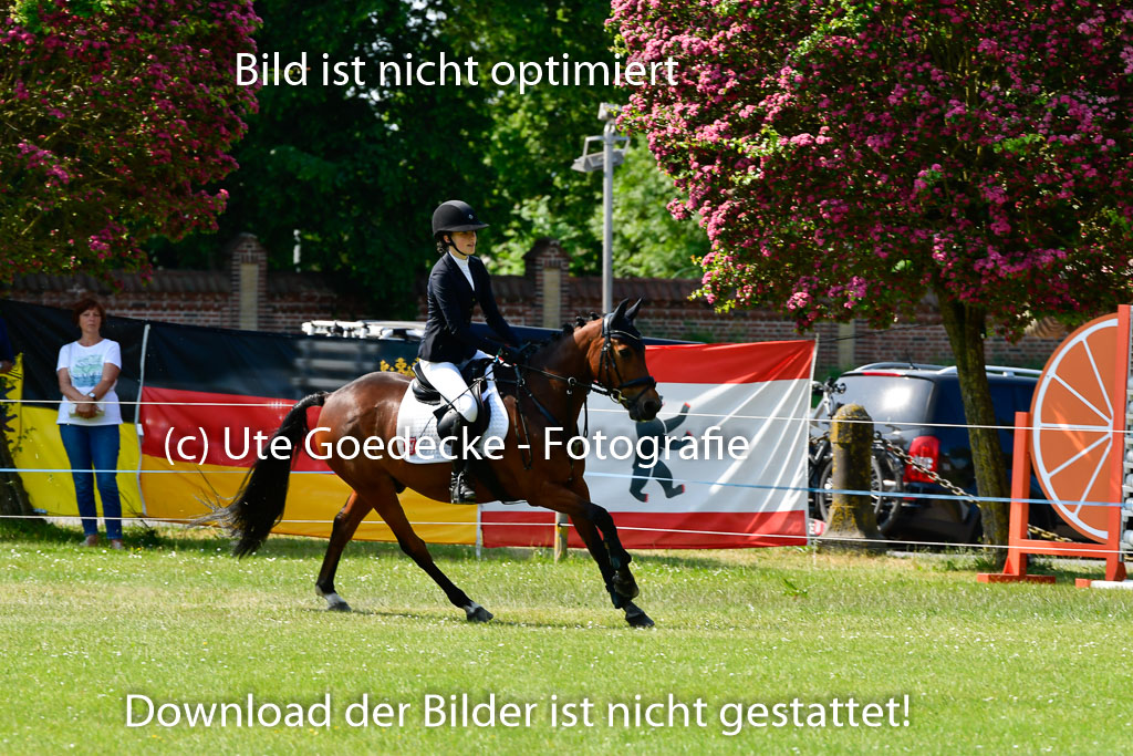 Goldene Schärpe Ponys in Hohen Luckow 1-4.6.23 | 04062023 Mathgilda van Dillen - Lichtenstein_15