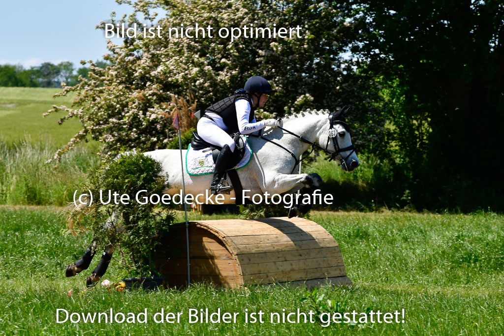 Goldene Schärpe Ponys in Hohen Luckow 1-4.6.23 | 04062023 Mia Müller - Lonsdale Lucky Star_08 