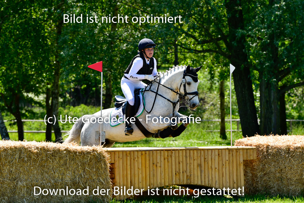 Goldene Schärpe Ponys in Hohen Luckow 1-4.6.23 | 04062023 Mia Müller - Lonsdale Lucky Star_10 