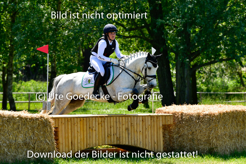 Goldene Schärpe Ponys in Hohen Luckow 1-4.6.23 | 04062023 Mia Müller - Lonsdale Lucky Star_11 