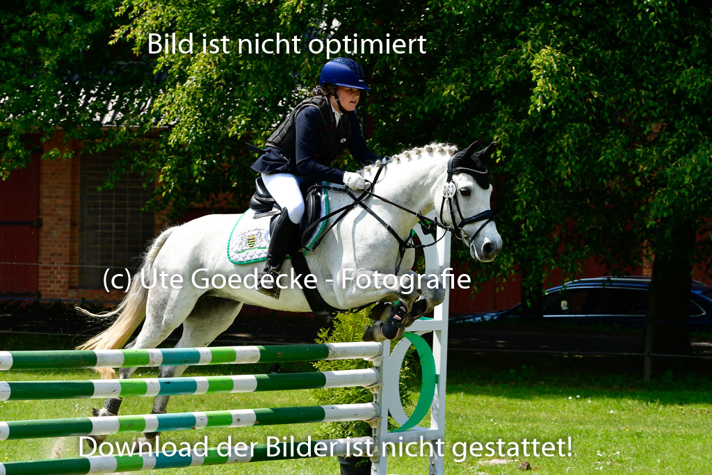 Goldene Schärpe Ponys in Hohen Luckow 1-4.6.23 | 04062023 Mia Müller - Lonsdale Lucky Star_21
