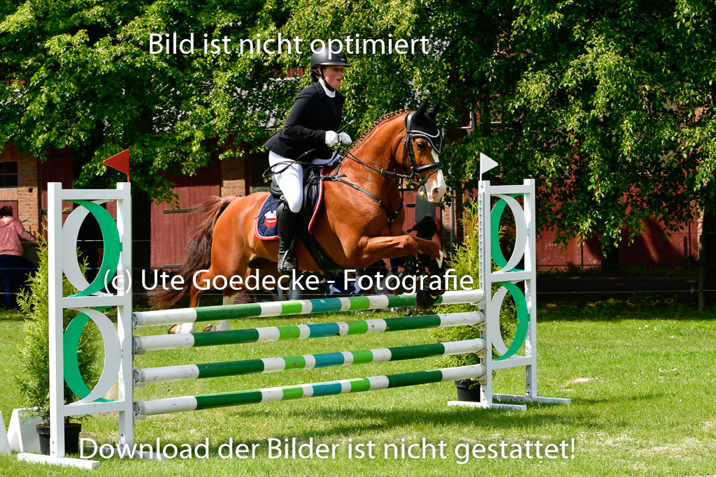 Goldene Schärpe Ponys in Hohen Luckow 1-4.6.23 | 04062023 Michelle John - Thedo _15