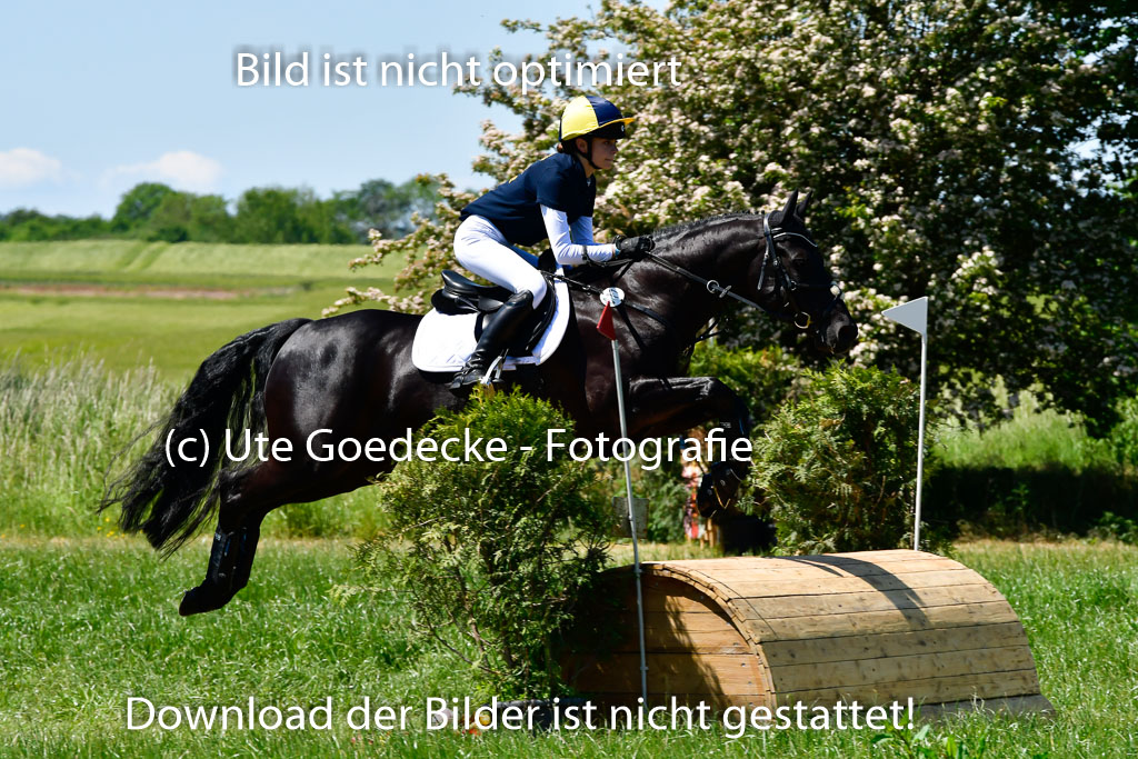 Goldene Schärpe Ponys in Hohen Luckow 1-4.6.23 | 04062023 Mila J Uebeler - Neo_06