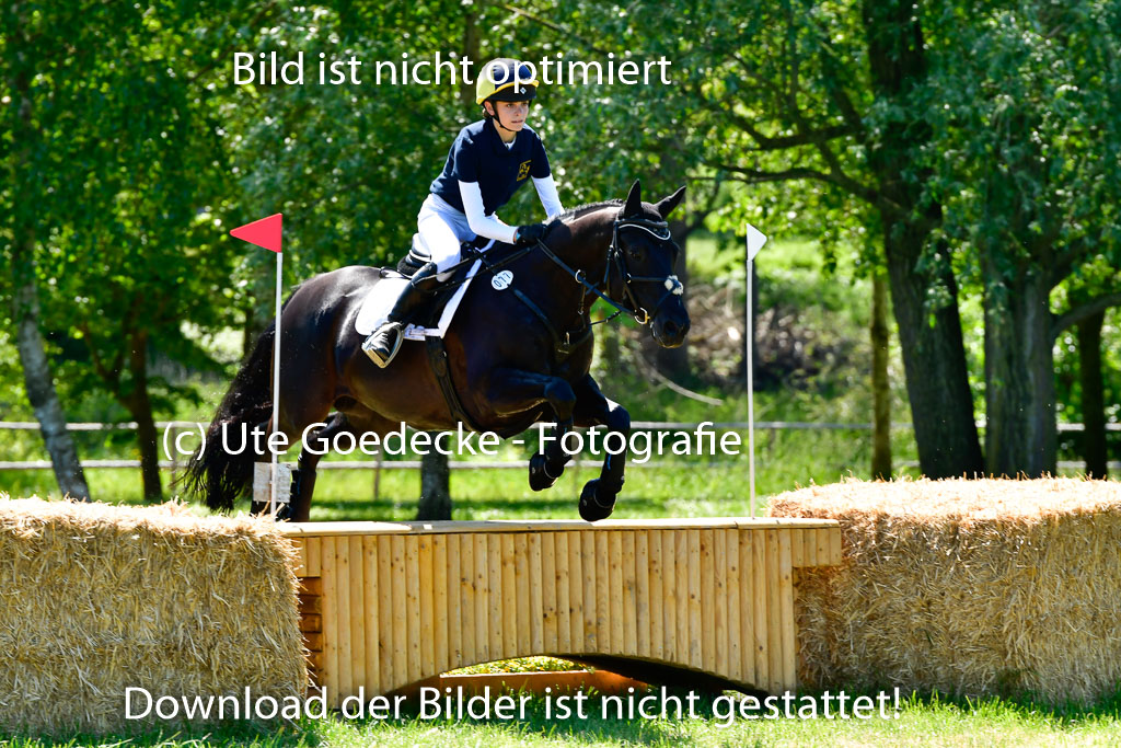 Goldene Schärpe Ponys in Hohen Luckow 1-4.6.23 | 04062023 Mila J Uebeler - Neo_08 