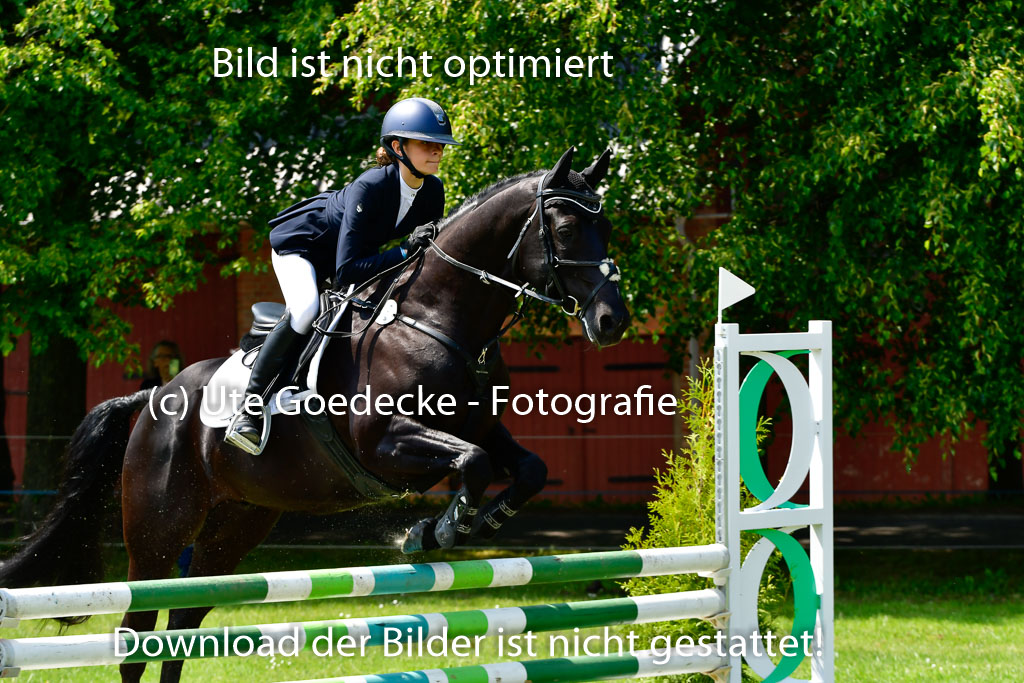 Goldene Schärpe Ponys in Hohen Luckow 1-4.6.23 | 04062023 Mila J Uebeler - Neo_12 