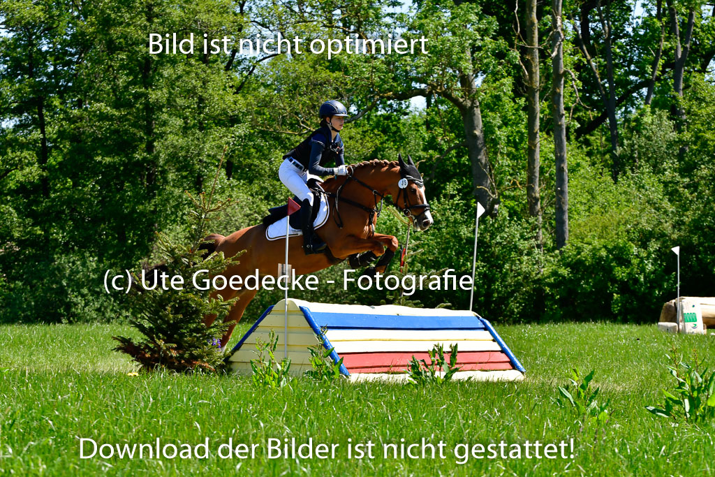 Goldene Schärpe Ponys in Hohen Luckow 1-4.6.23 | 04062023 Nayla Bereke - Douglas_04 