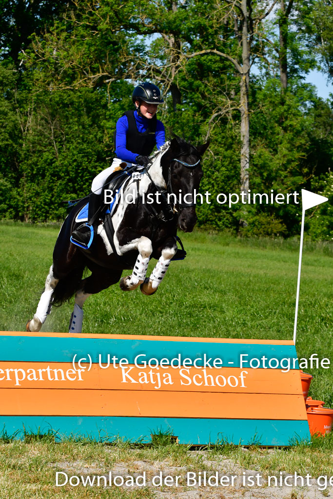 Goldene Schärpe Ponys in Hohen Luckow 1-4.6.23 | 04062023 Neele Eleen Albinus - Avalon
