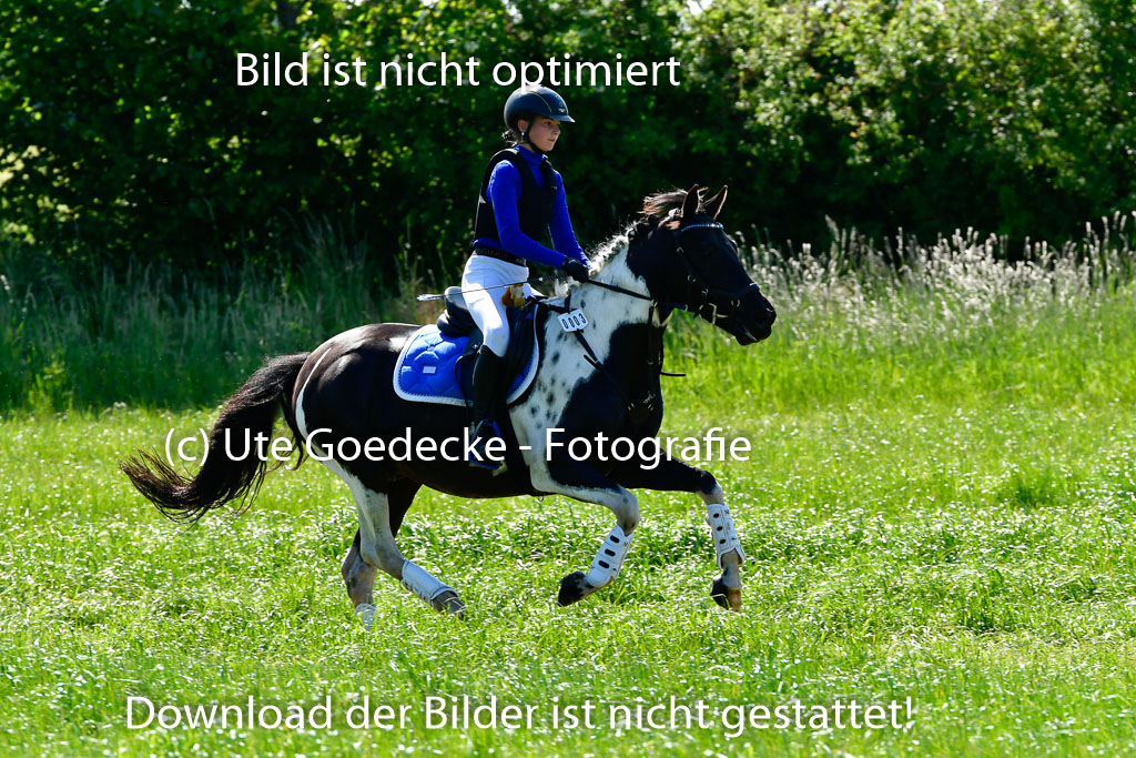 Goldene Schärpe Ponys in Hohen Luckow 1-4.6.23 | 04062023 Neele Eleen Albinus - Avalon_10 