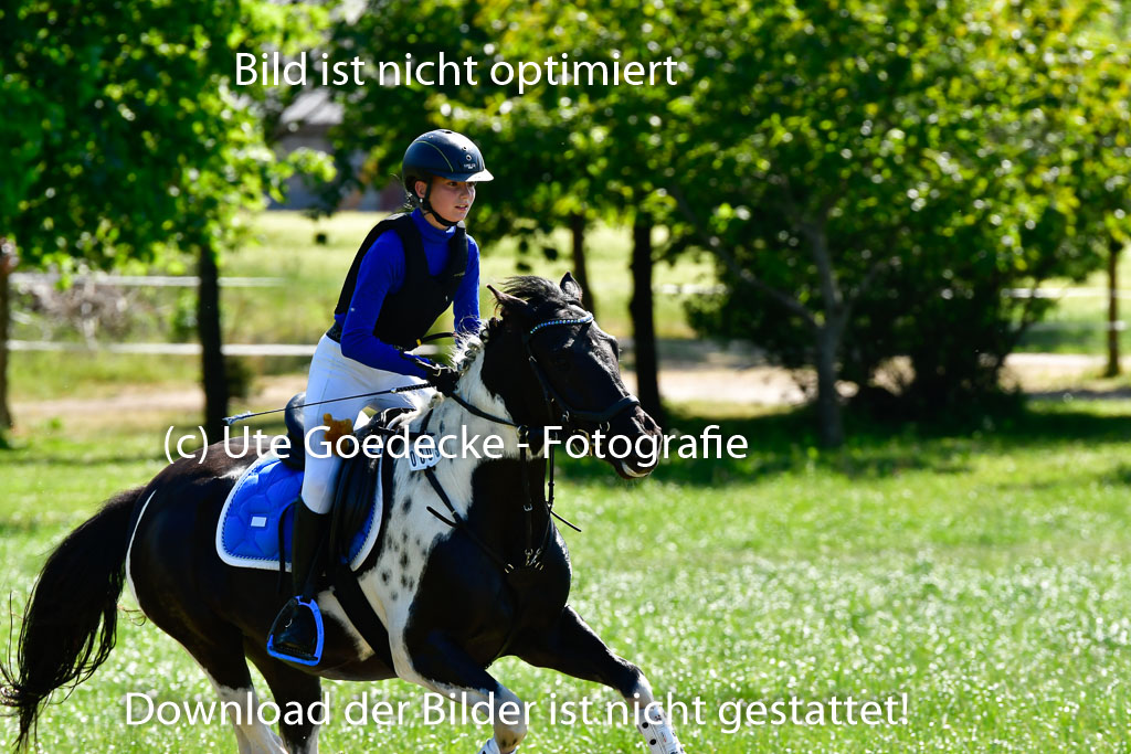 Goldene Schärpe Ponys in Hohen Luckow 1-4.6.23 | 04062023 Neele Eleen Albinus - Avalon_16 