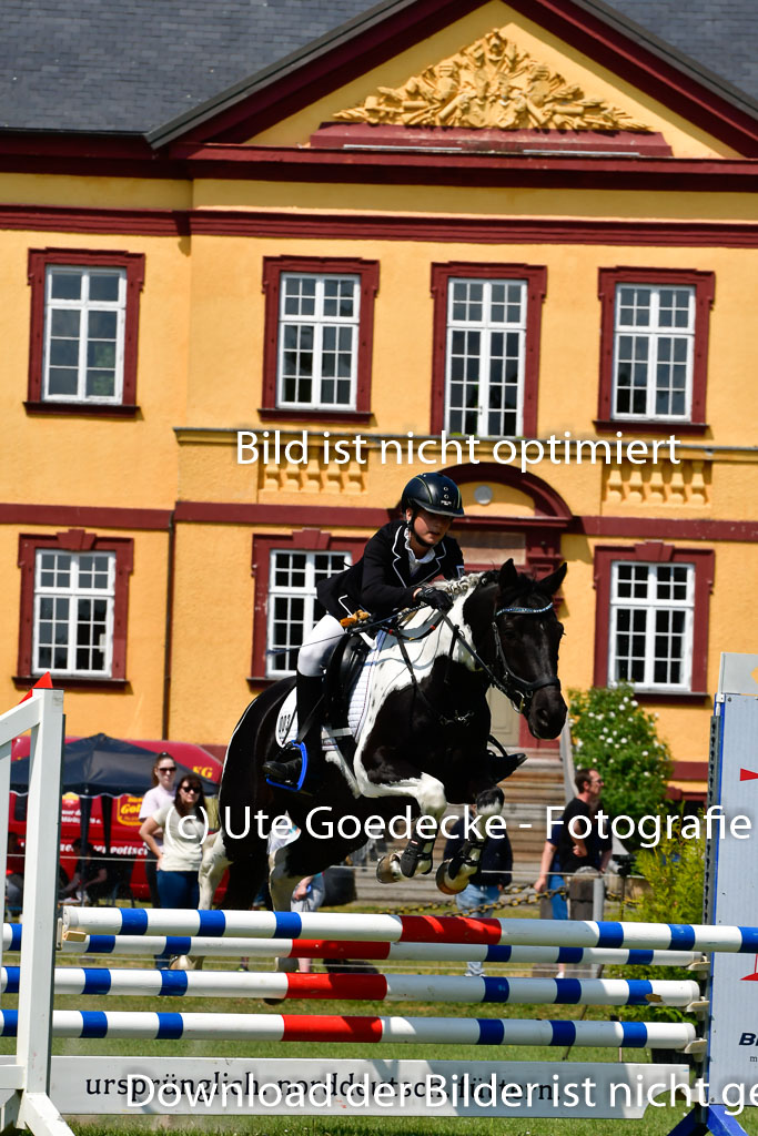 Goldene Schärpe Ponys in Hohen Luckow 1-4.6.23 | 04062023 Neele Eleen Albinus - Avalon_21