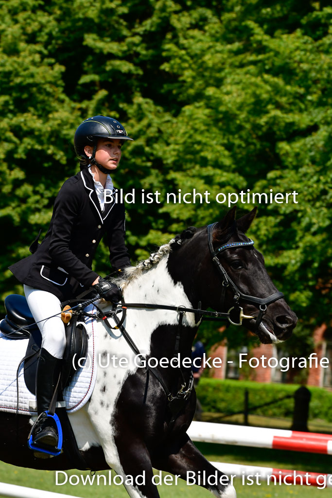 Goldene Schärpe Ponys in Hohen Luckow 1-4.6.23 | 04062023 Neele Eleen Albinus - Avalon_22 