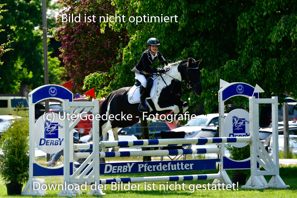 Goldene Schärpe Ponys in Hohen Luckow 1-4.6.23 | 04062023 Neele Eleen Albinus - Avalon_23 