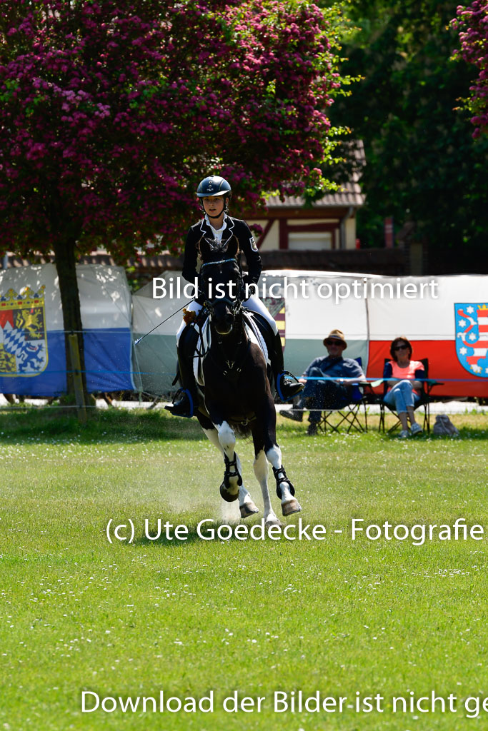 Goldene Schärpe Ponys in Hohen Luckow 1-4.6.23 | 04062023 Neele Eleen Albinus - Avalon_26 