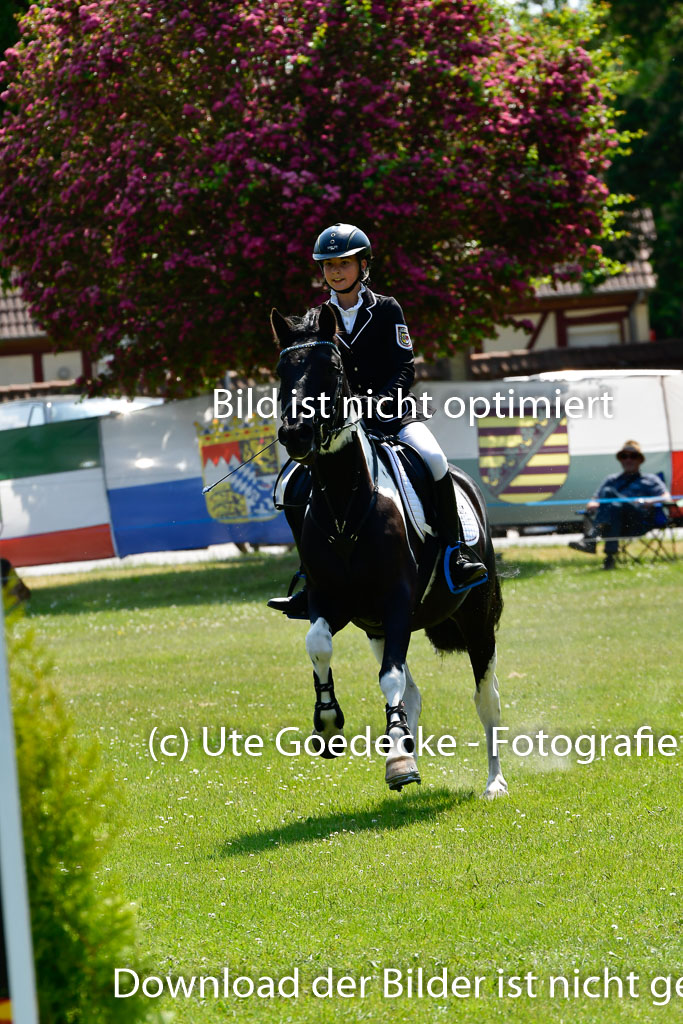 Goldene Schärpe Ponys in Hohen Luckow 1-4.6.23 | 04062023 Neele Eleen Albinus - Avalon_27 