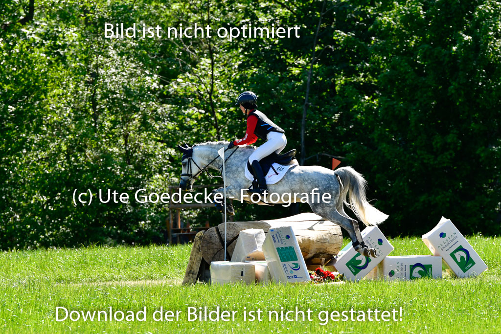 Goldene Schärpe Ponys in Hohen Luckow 1-4.6.23 | 04062023 Neele reineck - Fred_03 