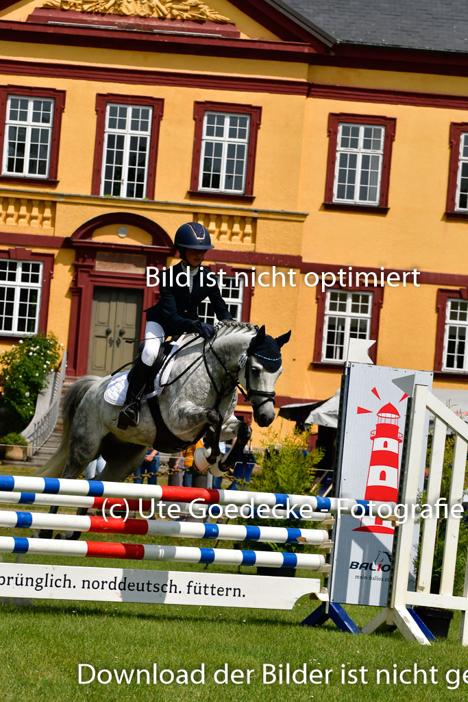 Goldene Schärpe Ponys in Hohen Luckow 1-4.6.23 | 04062023 Neele reineck - Fred_16 
