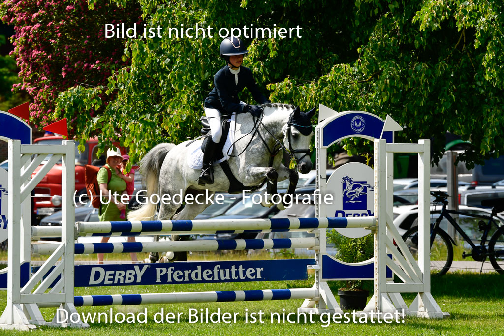 Goldene Schärpe Ponys in Hohen Luckow 1-4.6.23 | 04062023 Neele reineck - Fred_19 