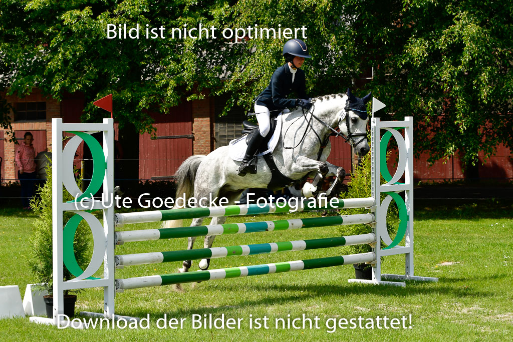 Goldene Schärpe Ponys in Hohen Luckow 1-4.6.23 | 04062023 Neele reineck - Fred_20 