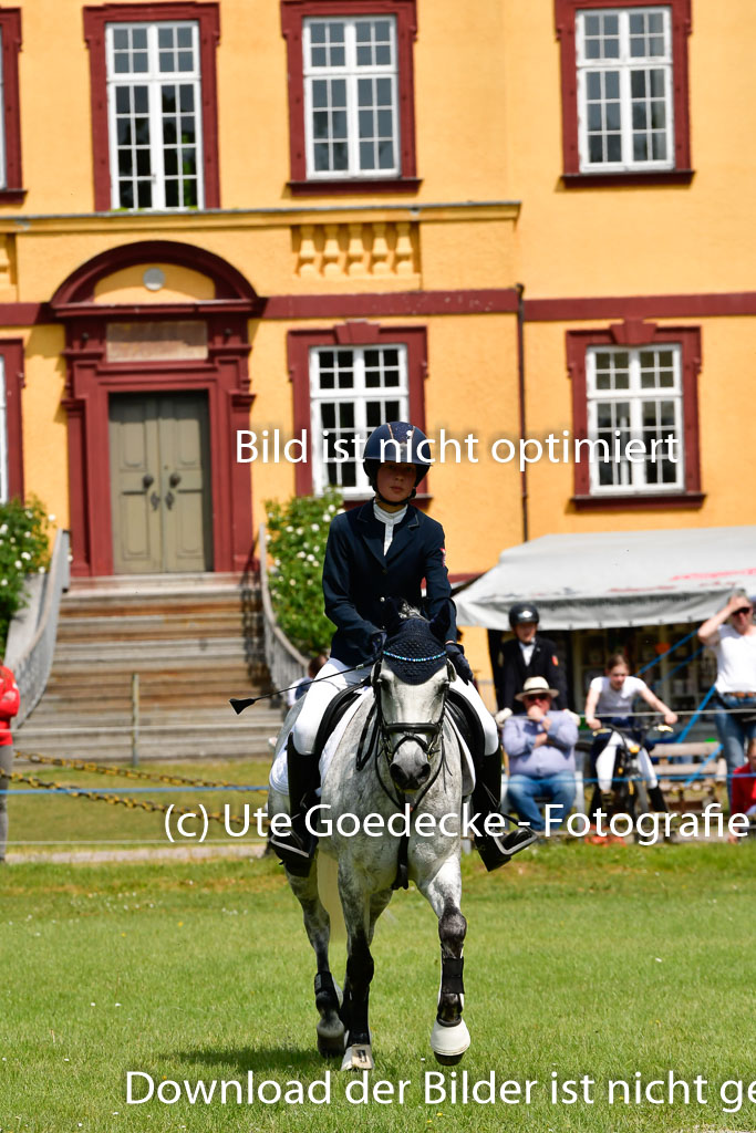 Goldene Schärpe Ponys in Hohen Luckow 1-4.6.23 | 04062023 Neele reineck - Fred_25 