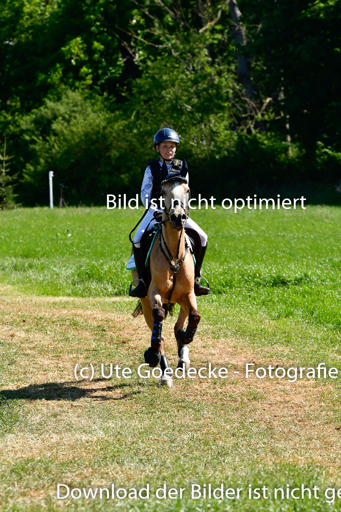 Goldene Schärpe Ponys in Hohen Luckow 1-4.6.23 | 04062023 Oscar Gündel - Gucci