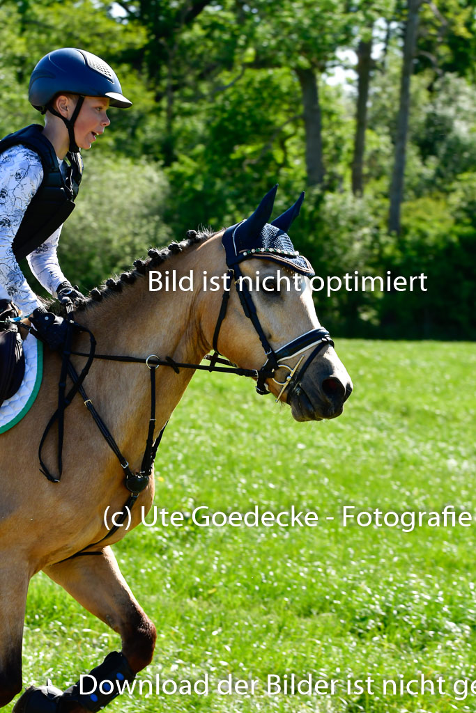 Goldene Schärpe Ponys in Hohen Luckow 1-4.6.23 | 04062023   Oscar Gündel - Gucci_03 