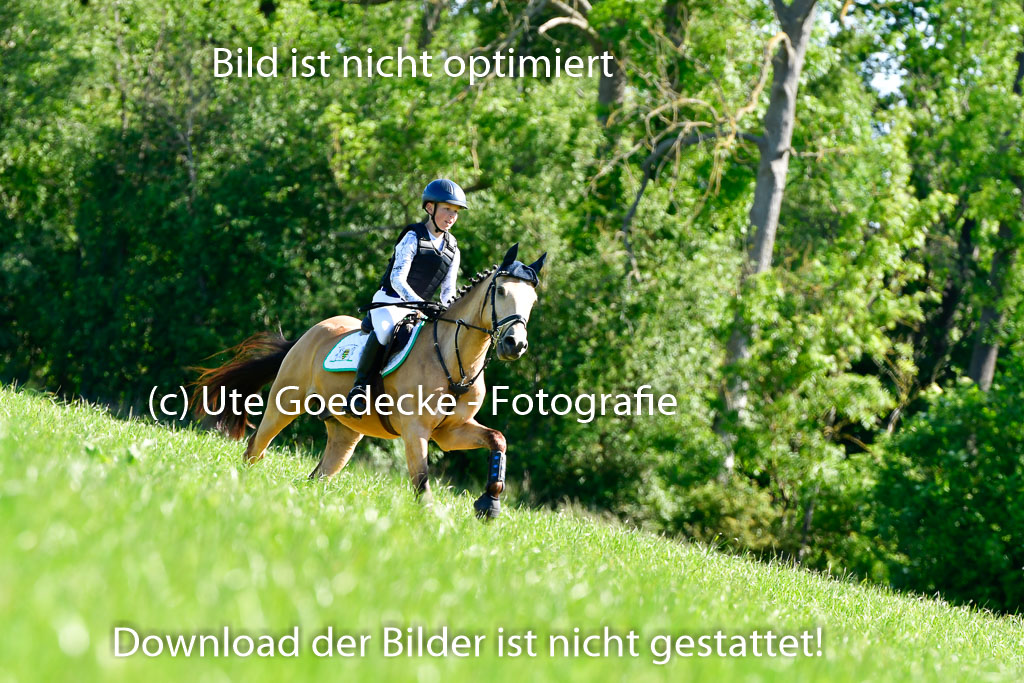 Goldene Schärpe Ponys in Hohen Luckow 1-4.6.23 | 04062023   Oscar Gündel - Gucci_07 