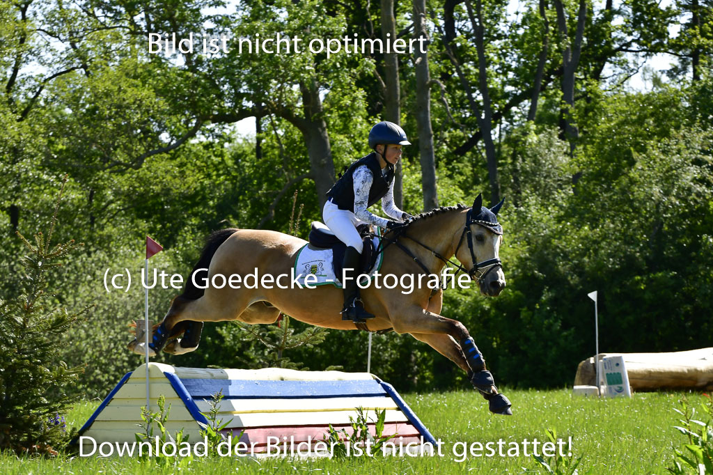 Goldene Schärpe Ponys in Hohen Luckow 1-4.6.23 | 04062023 Oscar Gündel - Gucci_09