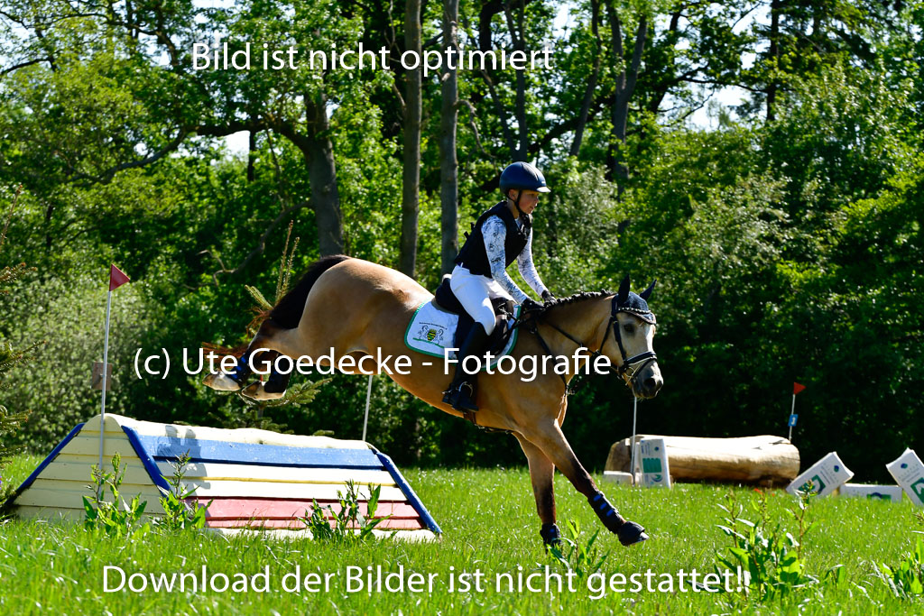 Goldene Schärpe Ponys in Hohen Luckow 1-4.6.23 | 04062023   Oscar Gündel - Gucci_10 